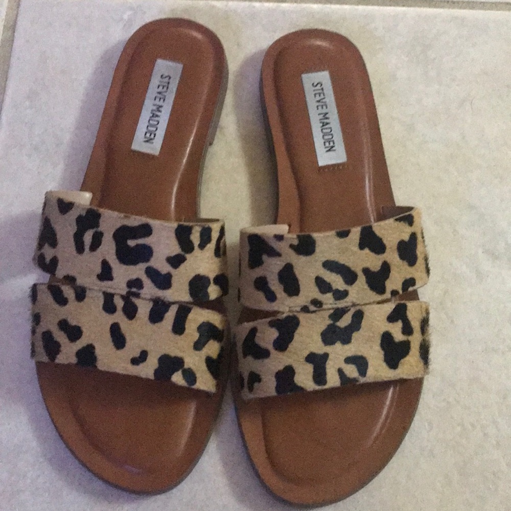 Leopard slides